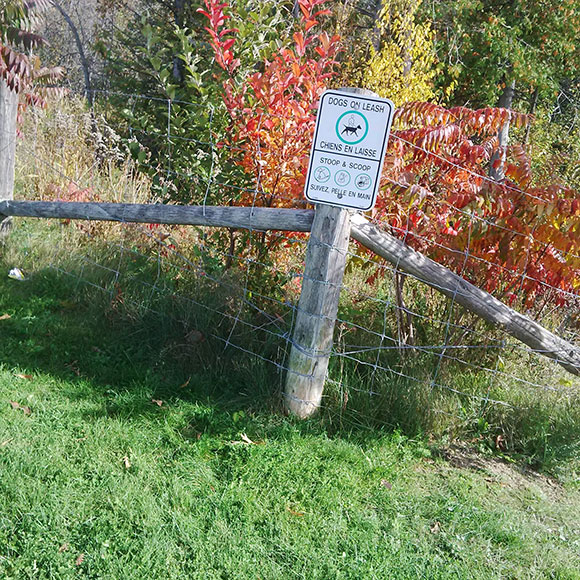 Signage at Coyote Run park in West Ridge. The city's web site lists it as "off-leash", but signage indicates otherwise. Photo by Vicki Gibson.