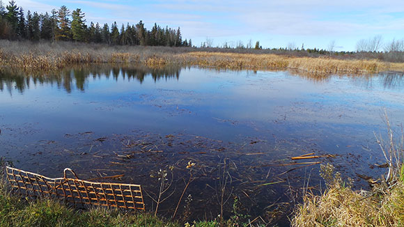 Culvert along the Trans Canada trail