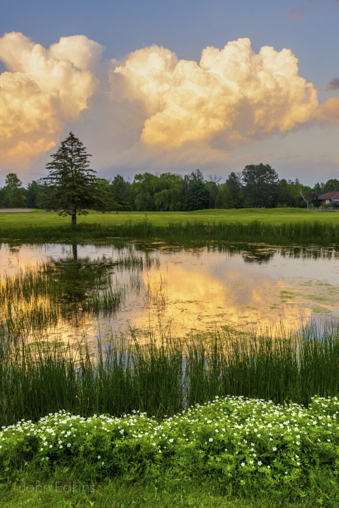 Golf is open at Amberwood Golf & Country Club Stittsville Central