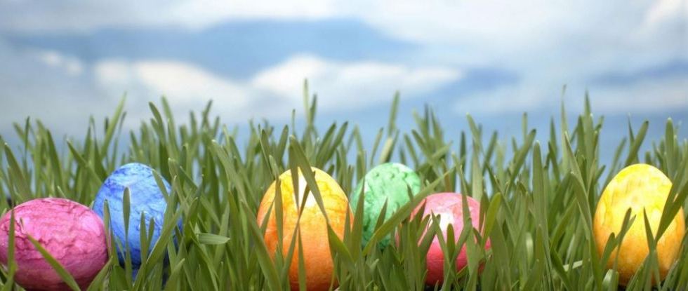 What s open Easter weekend from public health to veterinary