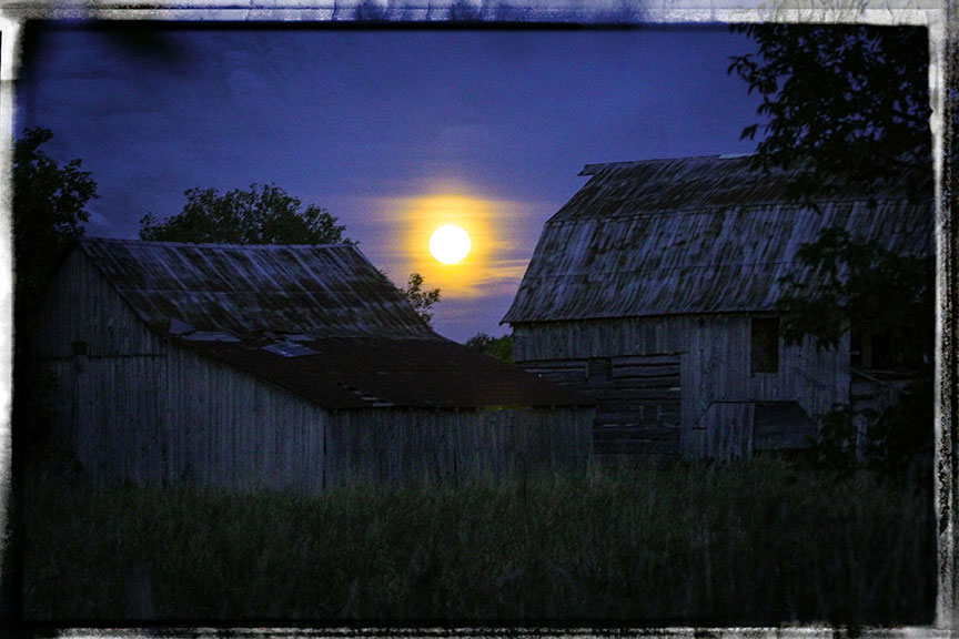The harvest moon rising south of Stittsville on Friday night. Photo by Barry Gray.