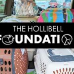 The HolliBell Foundation focuses third year on making spays, neuters more affordable