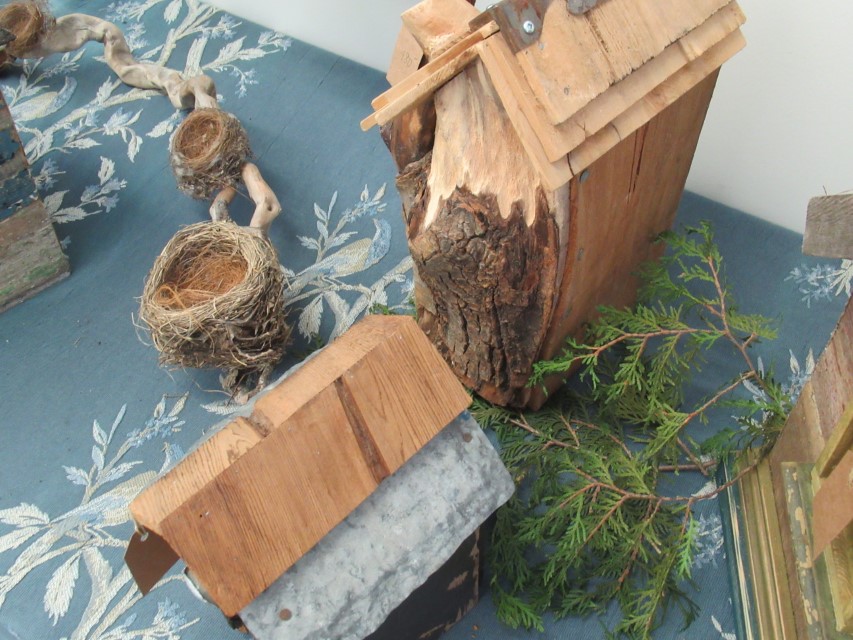 DIY Bird Shop: Nesting Materials  Brandywine Conservancy and Museum of Art