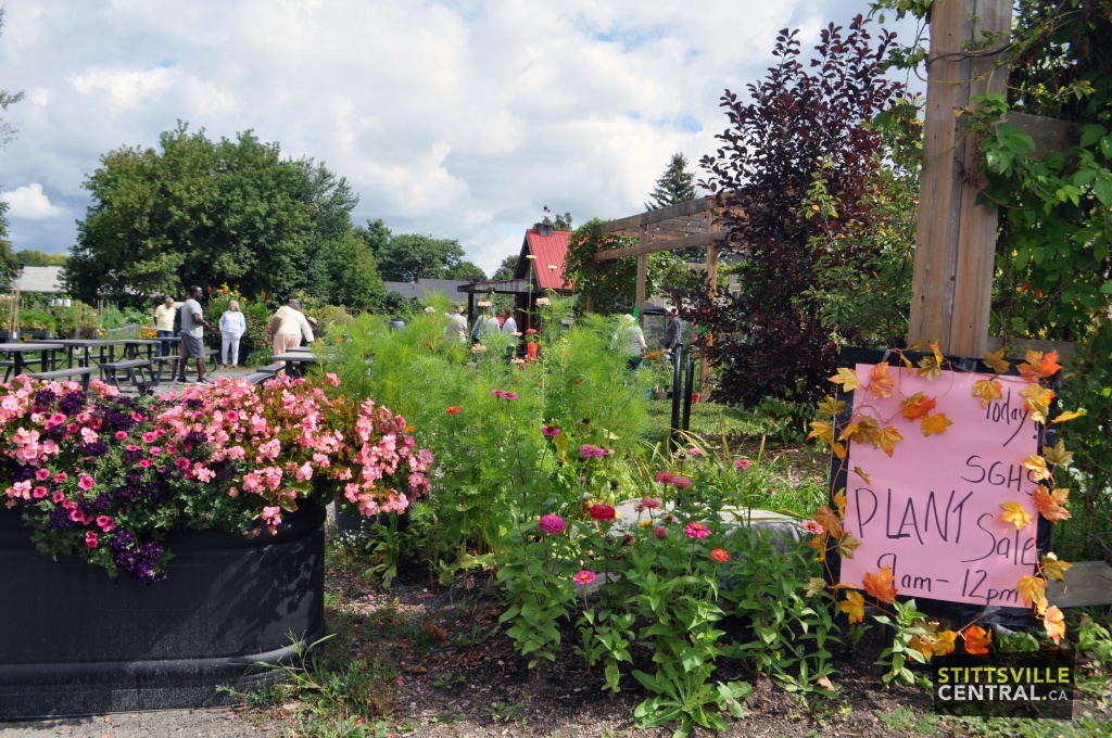 JoJo's Community Garden introduces a native plant maze in collaboration with Stittsville Goulbourn Horticultural Society