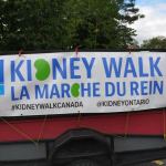 Kidney Foundation 2020 neighbourhood walk –  virtually everywhere and anywhere!