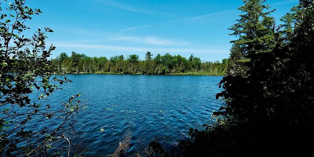 With strong community and partner support – MMLT successfully acquires Clyde Lake Nature Reserve