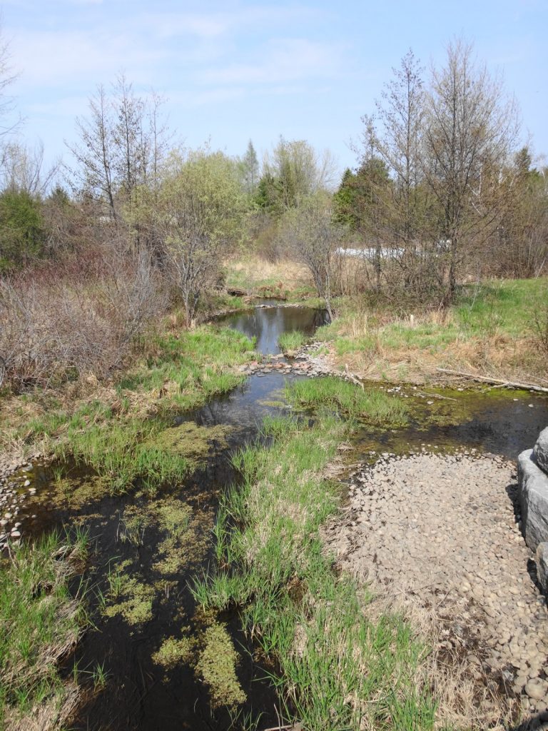 Poole Creek at Westridge Drive. Photo by Nick Stow.