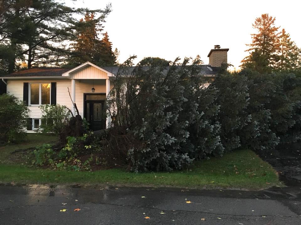 Mike Alexander posted this pic on Facebook: "Anyone want a REALLY big Christmas tree? Come get it!" It clipped the corner of his garage but didn't cause any serious damage. It also missed his dad's truck parked in the driveway.