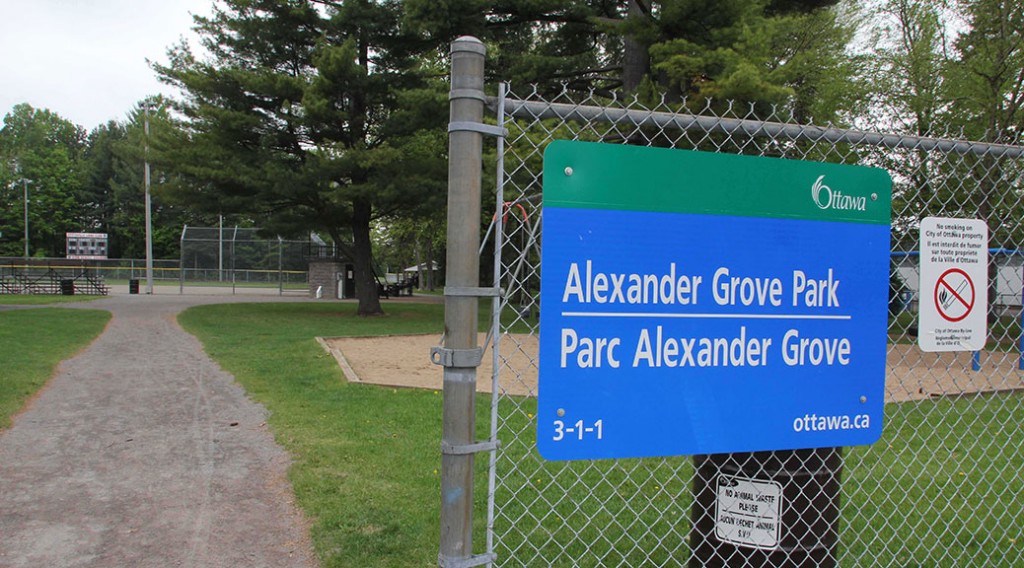 Alexander Grove Park / Photo by Barry Gray