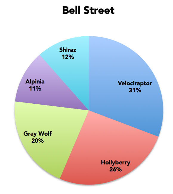 Our readers voted "Velociraptor" as their favourite name for Bell Street. This chart show the top five picks after 200 votes.