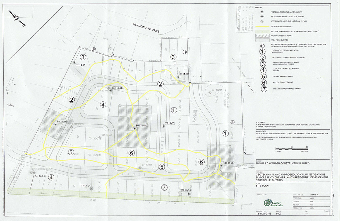 Cavanagh site plan map.