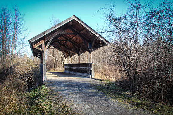 The covered bridge. Photo by Barry Gray.