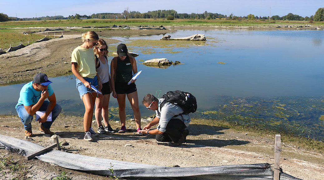 Dr. Steven Cooke and students beside the habitat pond at the Carp River Restoration area. Photo by Janet Mason.