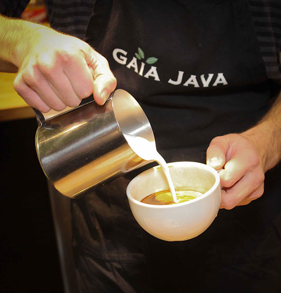 Gaia Java. Photo by Barry Gray