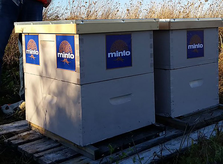 This pair of bee hives was taken from a field near the Arcadia subdivision in Kanata before Christmas, and their owner is asking the public for help find them.