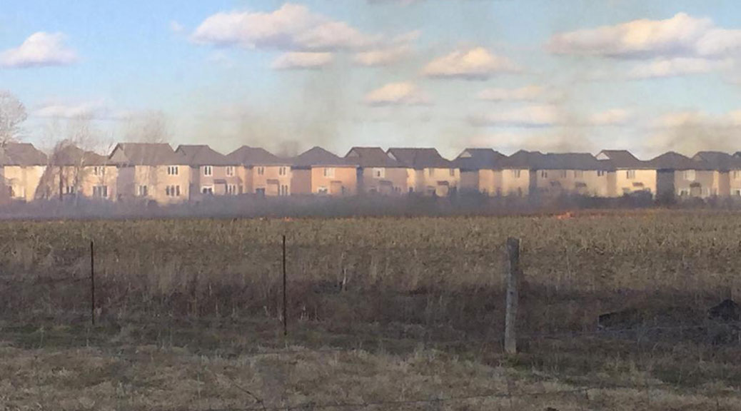 Grass fire at Terry Fox & Cope. Photo via @goveevers on Twitter
