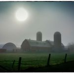 PHOTO: Foggy morning south of Stittsville