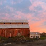 PHOTOS & UPDATE: The Bradley-Craig Farm, October 2017