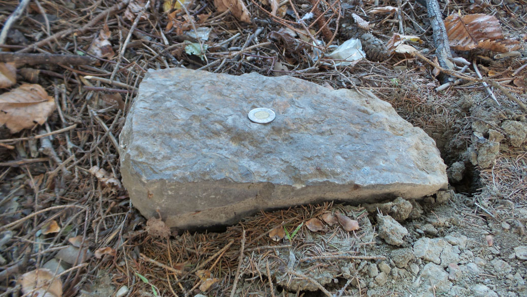 A piece of limestone, likely left behind after the demolition of Hodgins House.