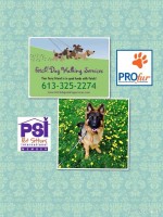 Fetch! Dog Walking Services Fetch! Dog Walking Services