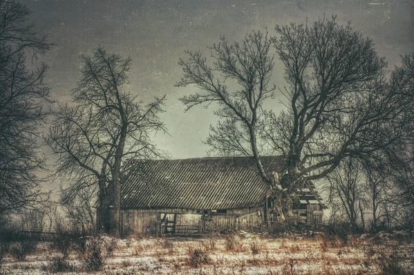 Old barn on Fernbank near Founder Avenue. Photo by Joe Newton.