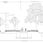 City updates plans for Johnwoods linear park