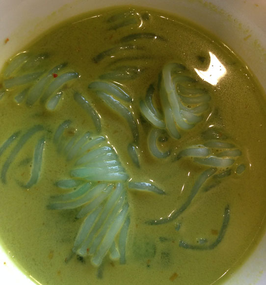 "We'll be serving brain soup this Friday, Saturday, Sunday and Monday," says Margarita Chen from Kungfu Bistro on Carp Road. "This Gluten Free soup comes from harvested zombie brains. It's natural slippery and elastic texture is authentic in moldy taste and flavour. It's aged perfectly with a hint of spice."