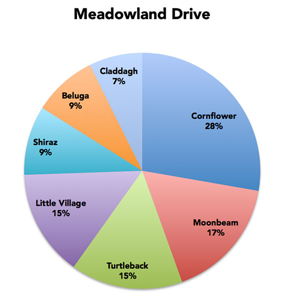 Cornflower, a blue flowering plant, has a considerable lead over the other choices on Meadowland Drive.