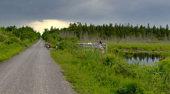 Upper Poole Creek Wetland in its healthier days, in June 2009.  Photo via Ken McRae.