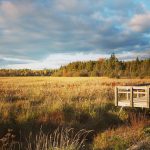 Goulbourn Wetlands Complex – City poised to change boundaries