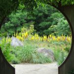 Horticultural Society is accepting photo contest entries