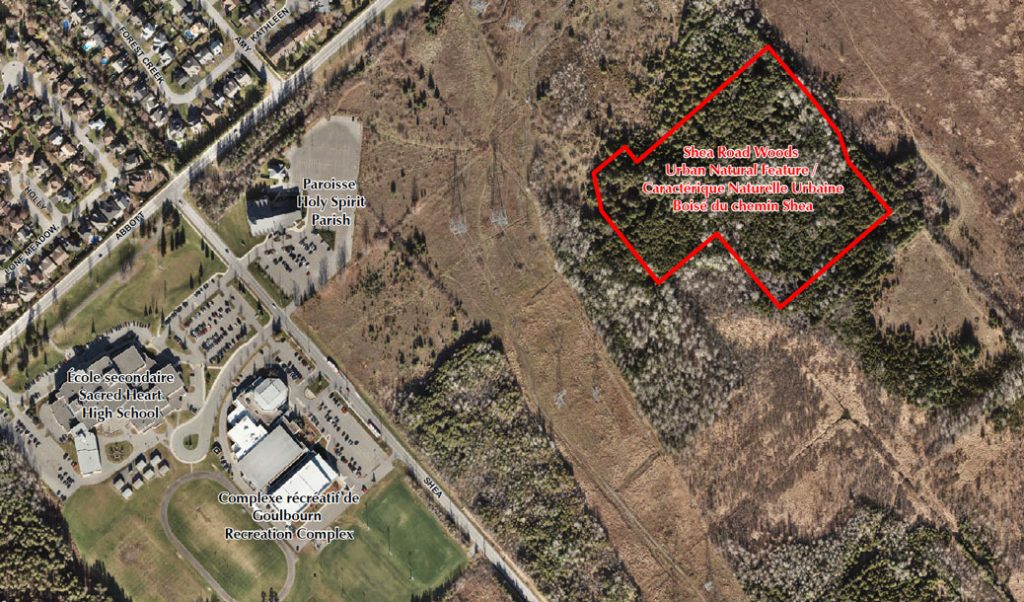 The city of Ottawa has plans to acquire a portion of Shea Woods, as shown here. Map via City of Ottawa.